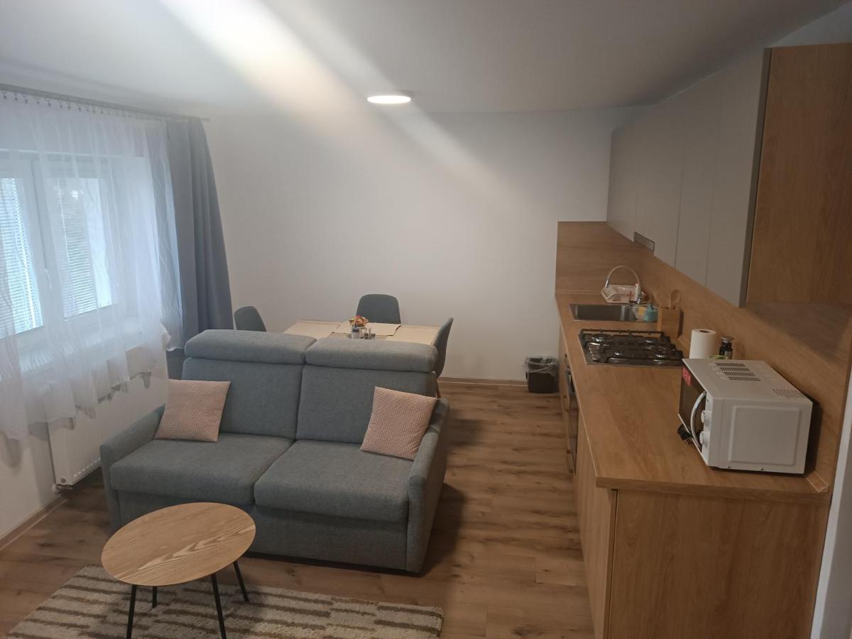 Apartmany Vila Juraj Trenčianske Teplice Extérieur photo