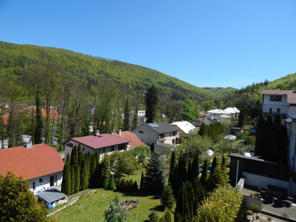 Apartmany Vila Juraj Trenčianske Teplice Extérieur photo